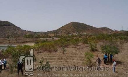 Riego con aguas regeneradas como medida de adaptación al cambio climático