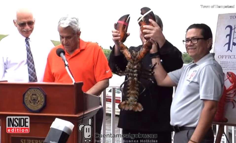 Liberan a una langosta de 132 años tras décadas de cautiverio