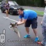 Ayudan a un perezoso a cruzar la carretera