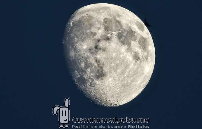 Paseando bajo la luna