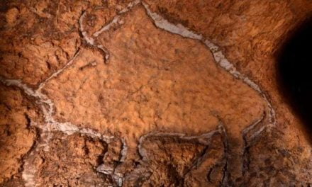 Hallan en Guipúzcoa grabados paleolíticos únicos en España
