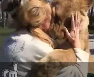 Emotivo reencuentro de una mujer con los leones que adoptó