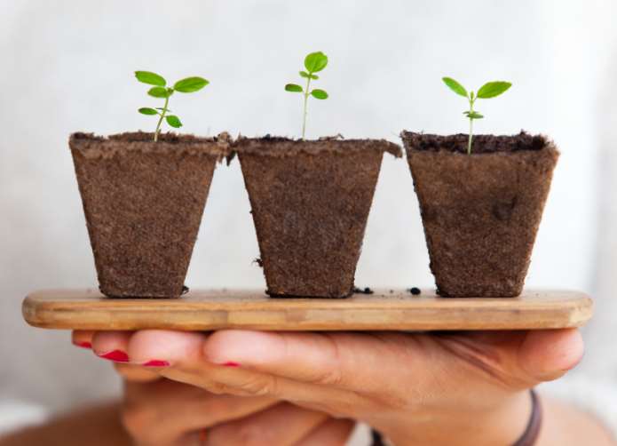 III Congreso Mundial sobre Bioestimulantes Agrícolas en Miami