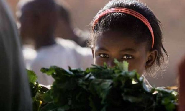 Día Mundial de la Alimentación: hacia la consecución de #HambreCero