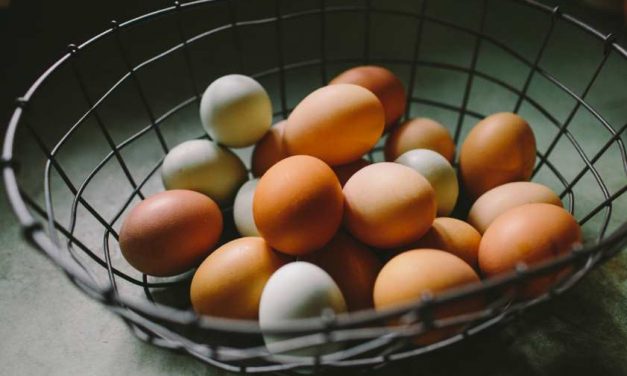 Montparnasse Pastelería (México) dejará de usar huevos de gallinas enjauladas