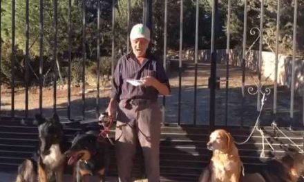 Anciano enfermo de cáncer pide una familia para sus perros antes de morir