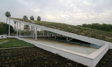 Techos verdes para paliar los efectos del cambio climático