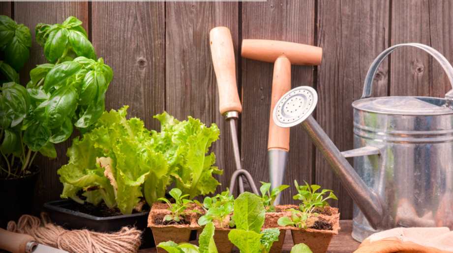 Charlas sobre huertos ecológicos y moda sostenible