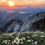 El Parlamento Europeo propone eliminar el impuesto al sol