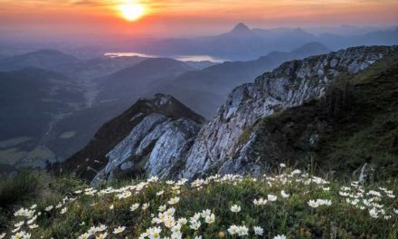 El Parlamento Europeo propone eliminar el impuesto al sol