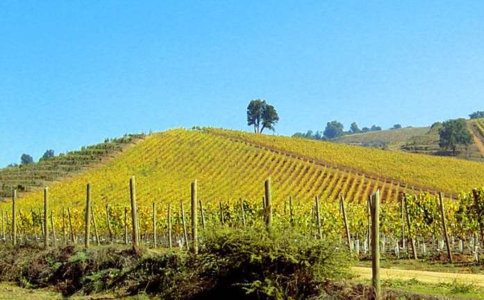 Con este modelo de consumo, disminuye la huella de carbono y los consumidores disfrutan de alimentos más frescos y sanos
