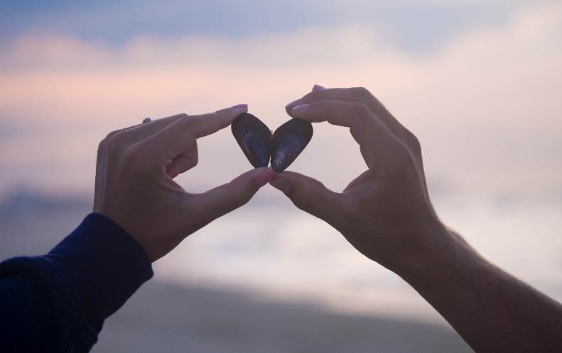 Claraboya. RECOVECOS DEL AMOR