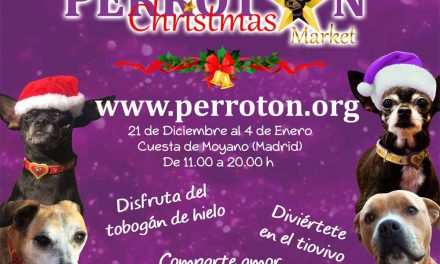 1ª Edición de Perrotón Christmas Market en Madrid