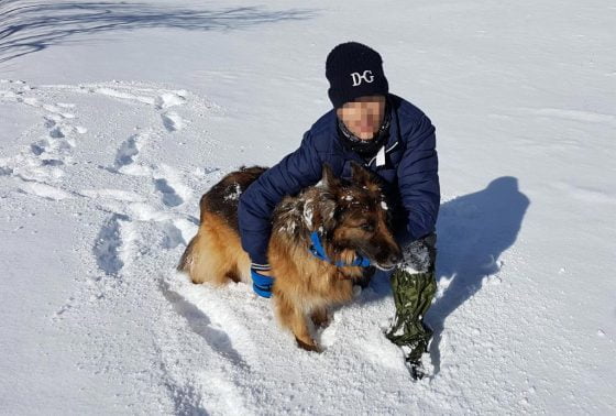 Carta de un niño de 13 años a la Junta de Andalucía para pedir que cese la montería en la Sierra de Cazorla, Segura y Las Villas