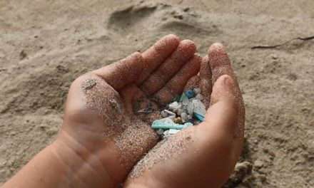 Entidades ecologistas proponen 6 medidas concretas para acabar con la contaminación por plásticos