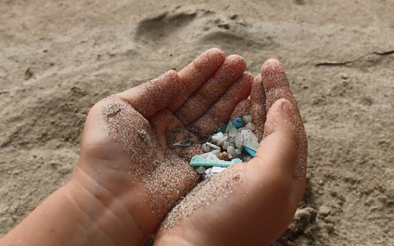 Entidades ecologistas proponen 6 medidas concretas para acabar con la contaminación por plásticos