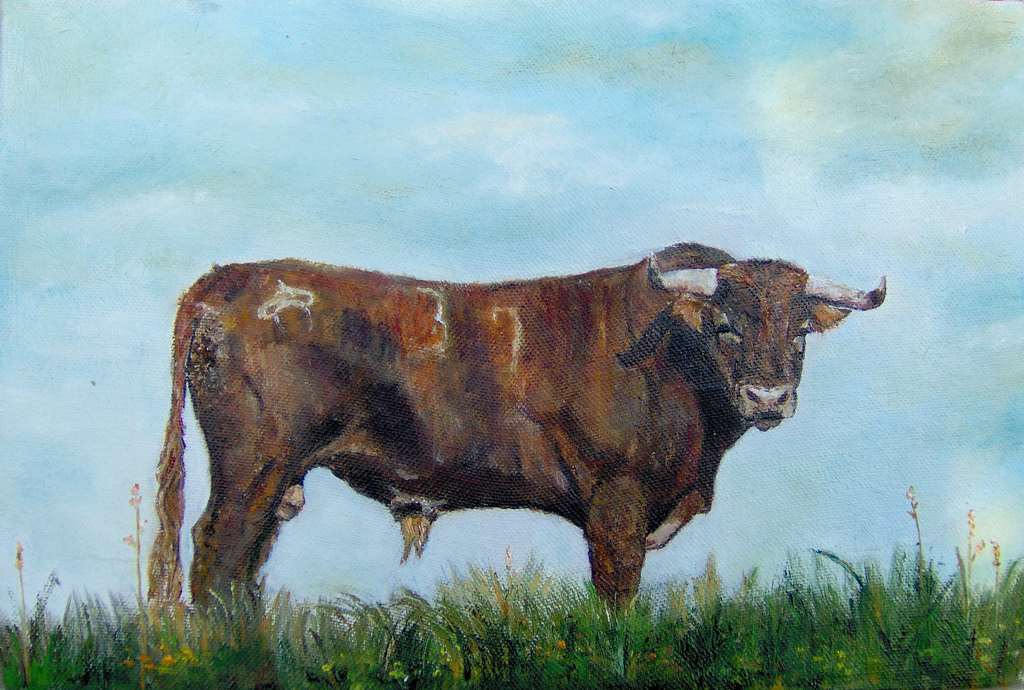 Cada vez más cerca de ver así a los toros: libres en el campo. Es una fotografía "Toro", Óleo sobre lienzo, cortesía de Aníbal de la Torre