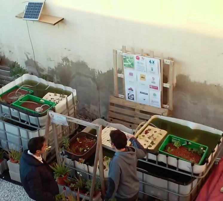 Bee Garden acaba de abrir el segundo módulo del Sistema de Acuaponía en su Aula Apícola y Medioambiental
