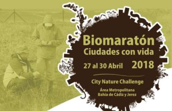 Biomaratón City Nature Challenge 2018 del 27 al 30 de abril en Cádiz