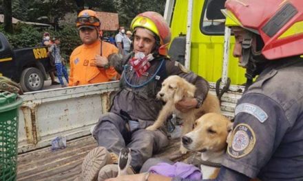 Héroes anónimos rescatan a miles de animales atrapados por el Volcán de Fuego de Guatemala