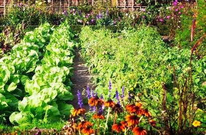 Agrolab, un proyecto para la transición agroecológica de Madrid