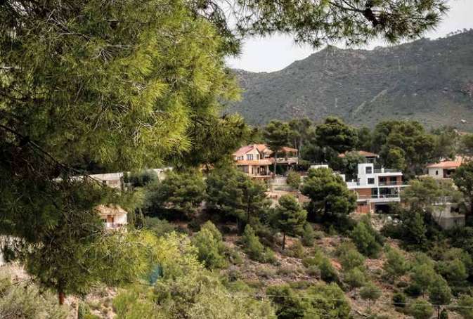 Por una correcta gestión forestal