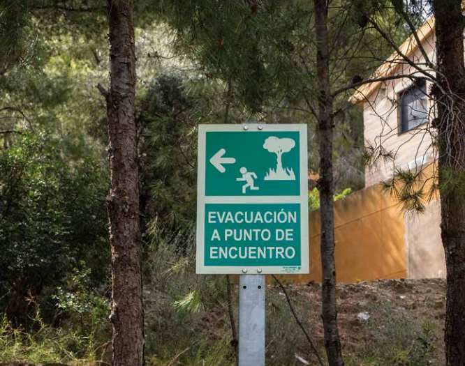 Greenpeace y los Scouts de España se unen en la campaña “Protege el bosque, protege tu casa”