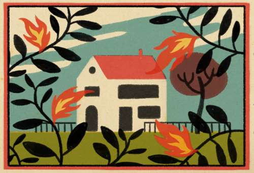 Greenpeace ha elaborado una Calculadora de Riesgo frente a incendios forestales