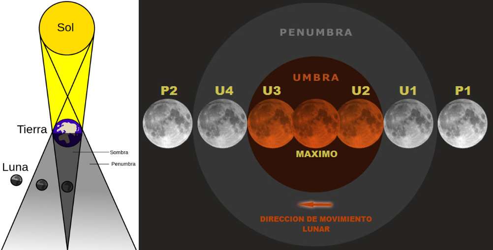 Diagrama de un eclipse lunar y nombres que reciben las etapas o contactos con la penunbra o umbra: P1 (primer contacto, comienzo del eclipse penumbral), U1 (segundo contacto, comienzo del eclipse parcial), U2 (tercer contacto, comienzo del eclipse total), máximo del eclipse (etapa de mayor ocultación), U3 (cuarto contacto, fin del eclipse total), U4 (quinto contacto, fin del eclipse parcial), P2 o P4 (sexto contacto, fin del eclipse penumbral). / Luca/Thóumas/ GIF:Tomruen (minutado en Tiempo Universal o UT. En la Península son dos horas más) Foto: Sinc