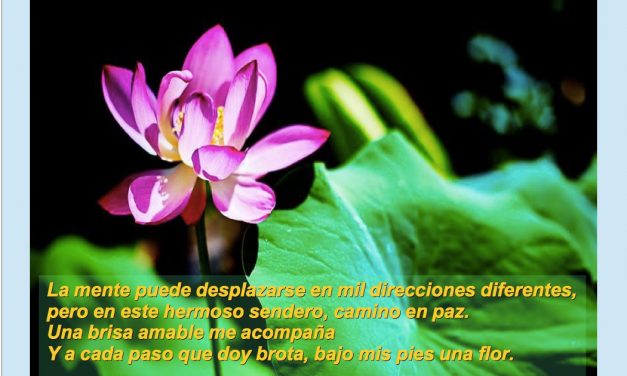 Jornadas de puertas abiertas de la Asociación Mindfulness Ljus sin fronteras