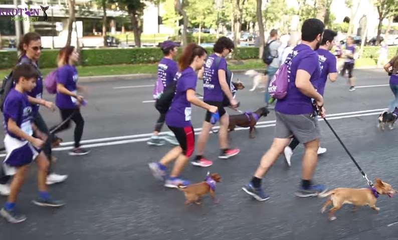 La adopción responsable se hace corriendo. #CorreContraElAbandono