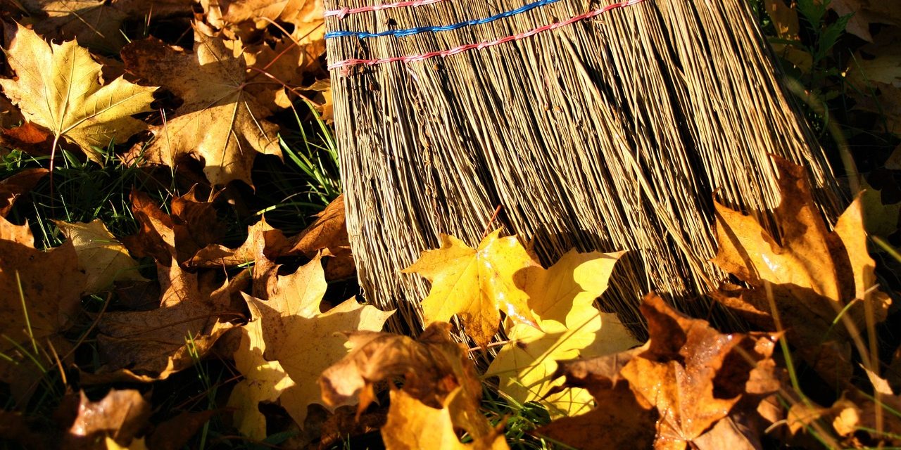 El Día Mundial de Limpieza del Planeta: La mayor movilización civil de la historia