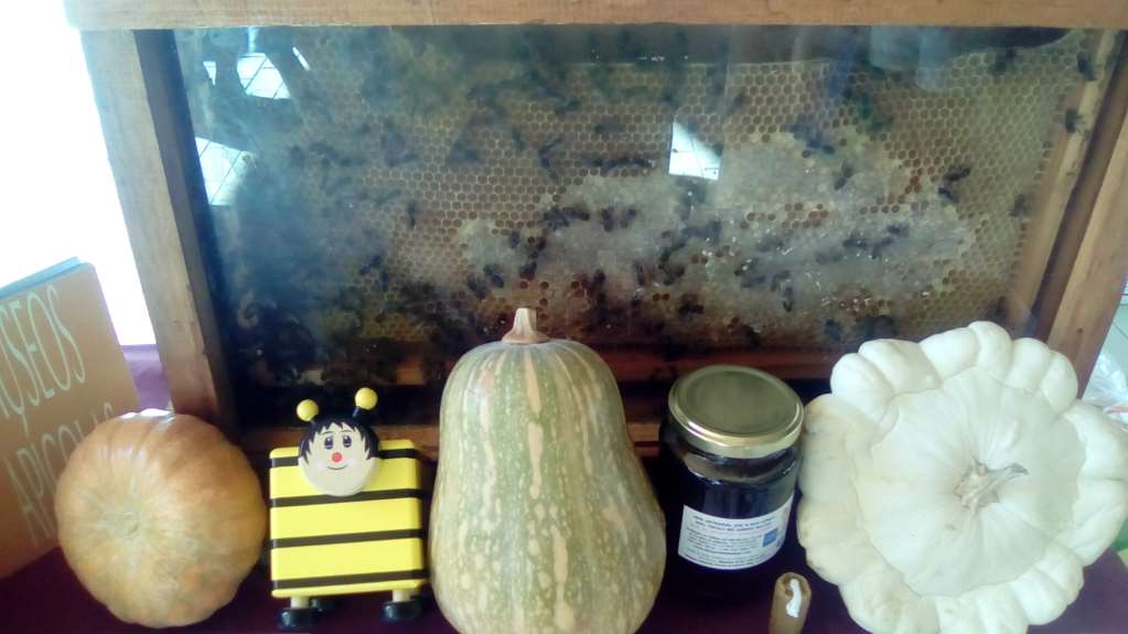 Bee Garden celebra una Jornada de Puertas Abiertas en el Día Mundial del Turismo