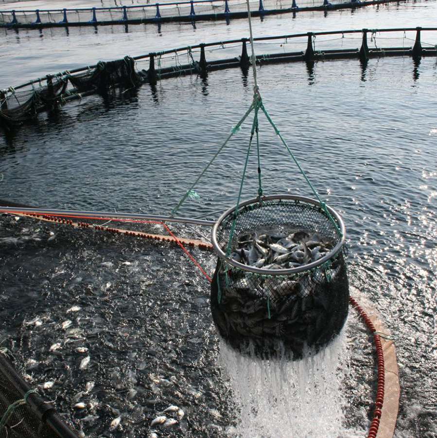 InnovAzul 2018, un encuentro internacional de innovación en los sectores productivos de la Economía Azul