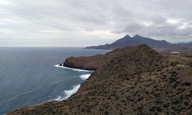 Un proyecto para recuperar el hábitat del Azufaifo en el Cabo de Gata