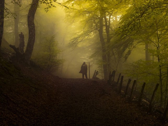 El jurado ha seleccionado entre las 619 imágenes presentadas, la realizada por Antonio Pascual Pedrero, natural de Alfaro (La Rioja) como ganadora del concurso