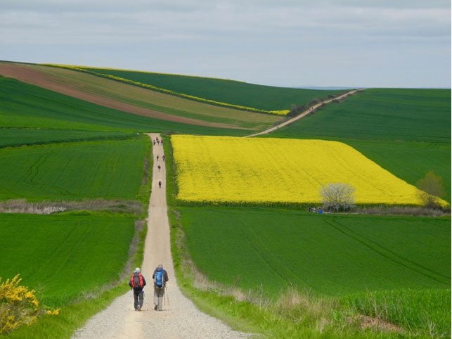 El segundo premio ha recaído en el italiano Giorgio Mazzoldi, con una fotografía de los campos riojanos, a la salida en Logroño, cubiertos de verde y amarillo