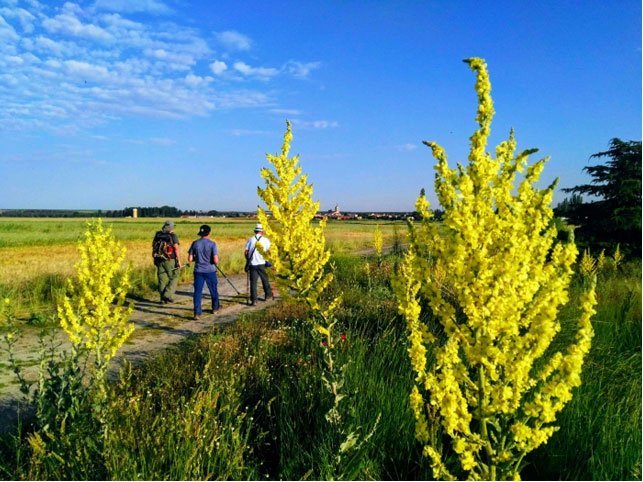 El concurso también contemplaba un premio a la fotografía más votada por los internautas, que ha recaído en el madrileño Javier Rossi, miembro de la Asociación de Amigos del Camino de Madrid