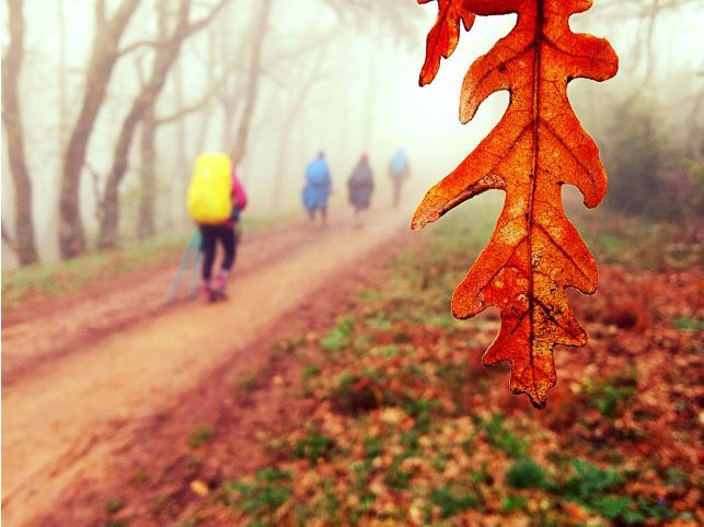 El tercer galardón es para Diego Bregolín, originario de Brasil, con una imagen otoñal titulada “Cor em movimiento”, tomada en Montes de Oca (Burgos)