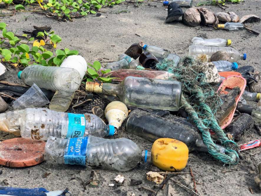 El Parlamento Europeo ha hecho historia apostando por reducir los productos de plástico de un solo uso y limitar su contaminación en nuestros mares y océanos