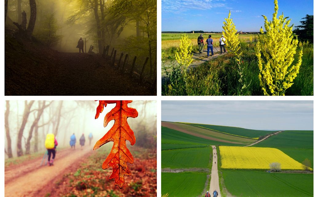 Fotos ganadoras del concurso “Los colores del Camino”