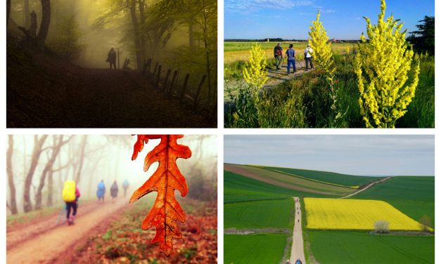 Fotos ganadoras del concurso “Los colores del Camino”