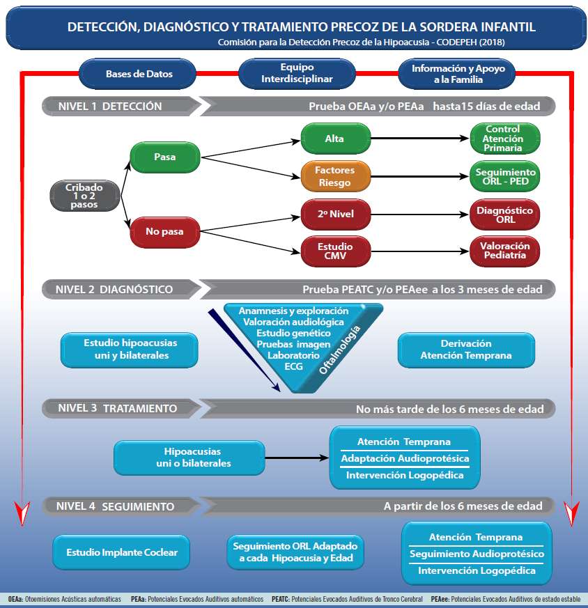 Revisar los protocolos, técnicas y plazos de la fase de Detección de los programas de cribado auditivo de la sordera infantil ha sido el objetivo de este proyecto