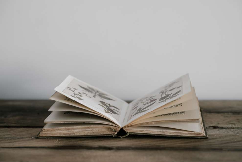 Los cuentos seleccionados desarrollan valores como el amor a los animales, la ecología, la diversidad, la tenacidad, la cooperación y el esfuerzo