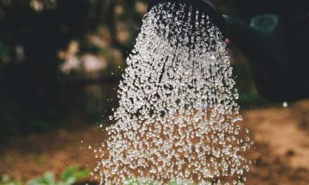 22 centros de investigación del agua se unirán en la primera red científica hídrica española