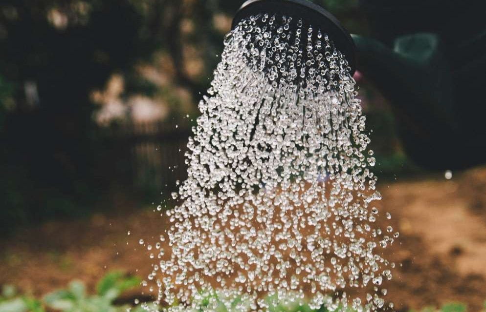 22 centros de investigación del agua se unirán en la primera red científica hídrica española
