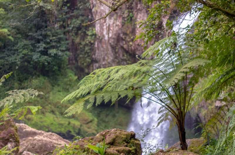 70 expertos mundiales participarán durante los próximos tres años en la Plataforma Intergubernamental IPBES.