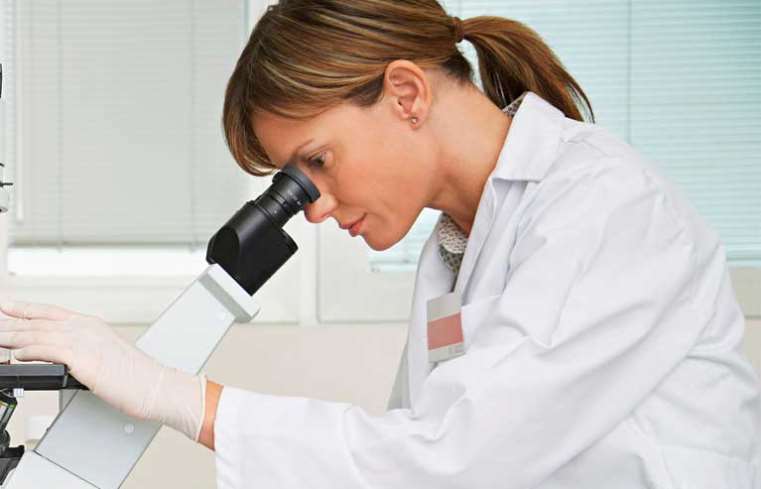 Nueva terapia de fotosensibilizadores contra el cáncer