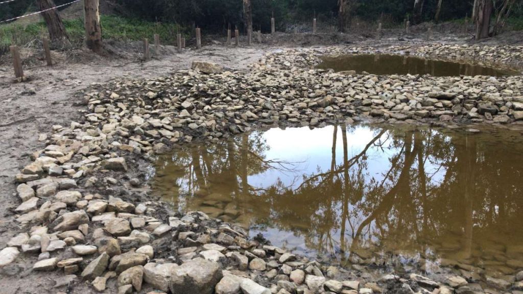 En Jerez de la Frontera se ha restaurado un espacio municipal, el Parque de las Aguilillas