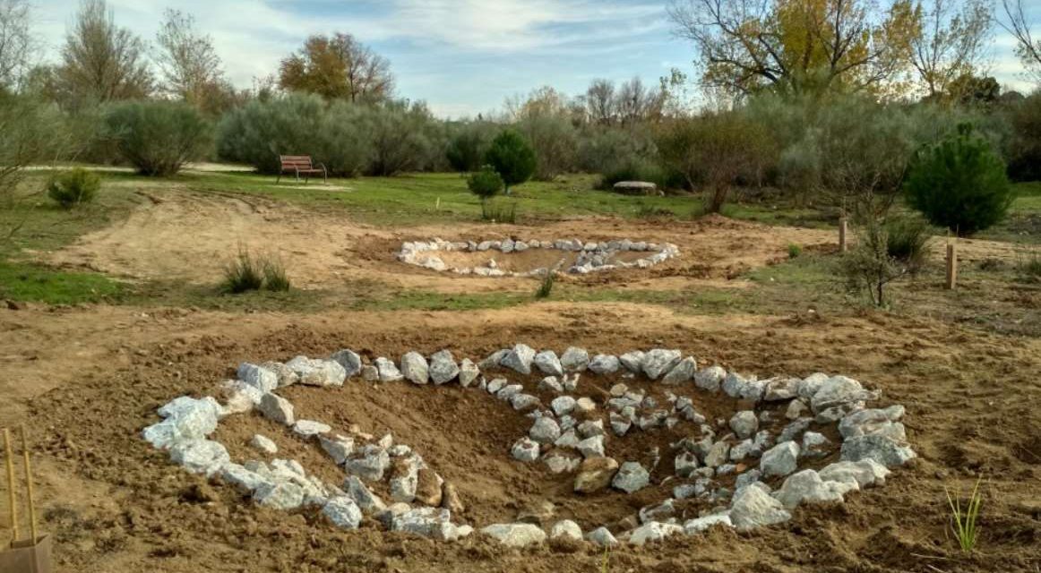 Ecoherencia restaura ecosistemas construyendo seis charcas para anfibios